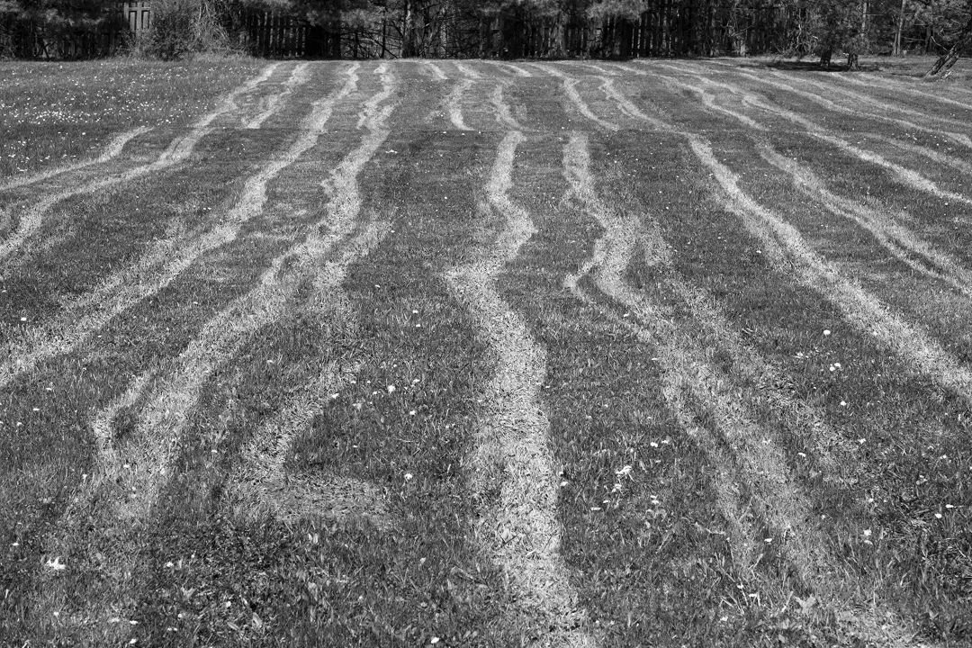 Muddy Tracks