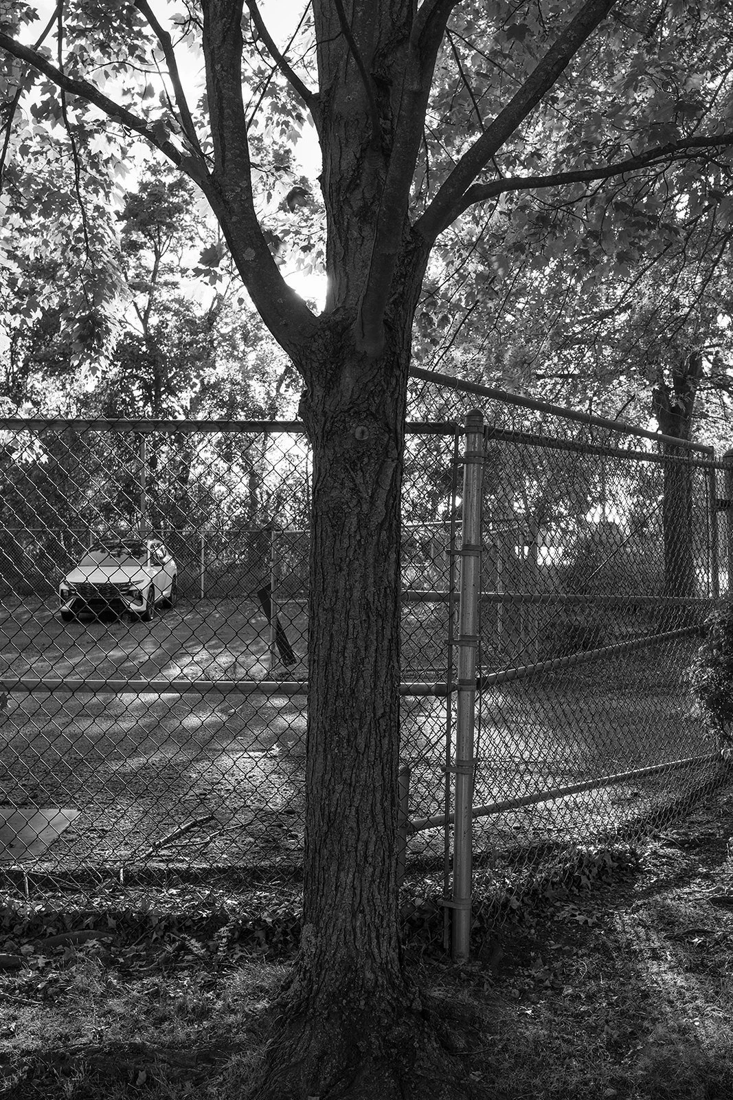 Private Lot