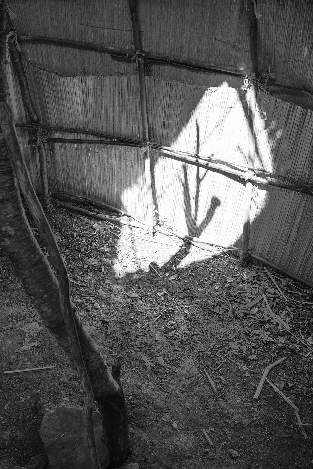 Wigwam No. 2