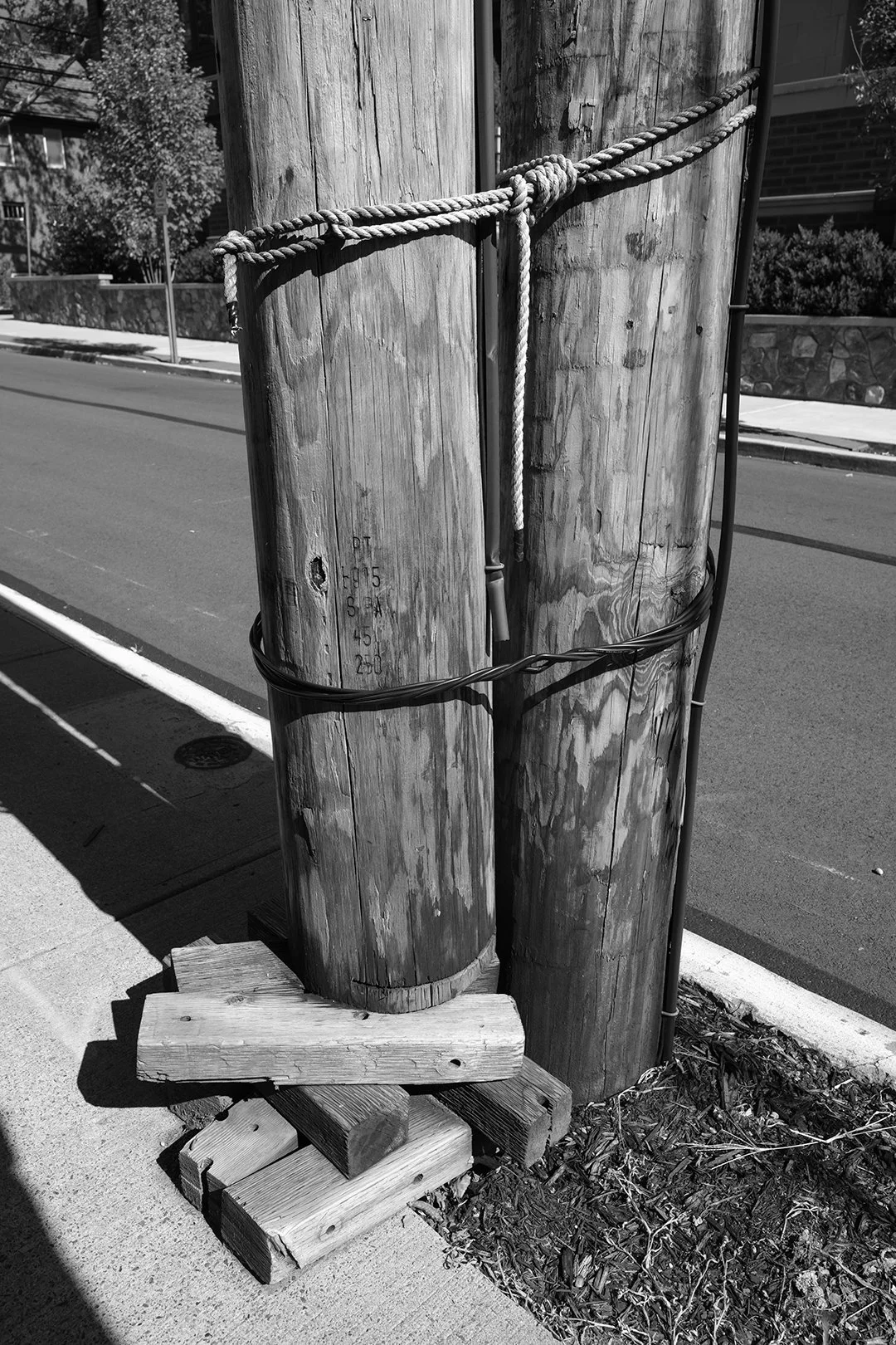 Utility Poles - Sewickley, PA - September 2025