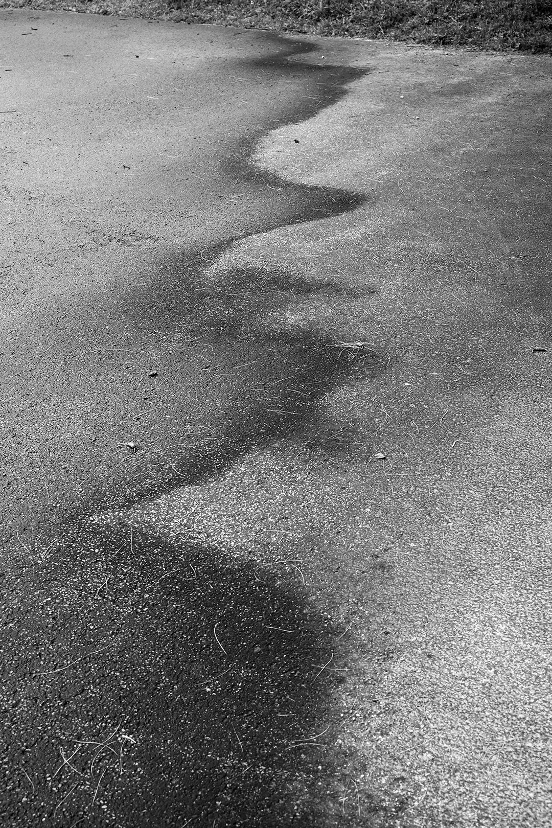 Rain Shadow - Wexford, PA - June 2025