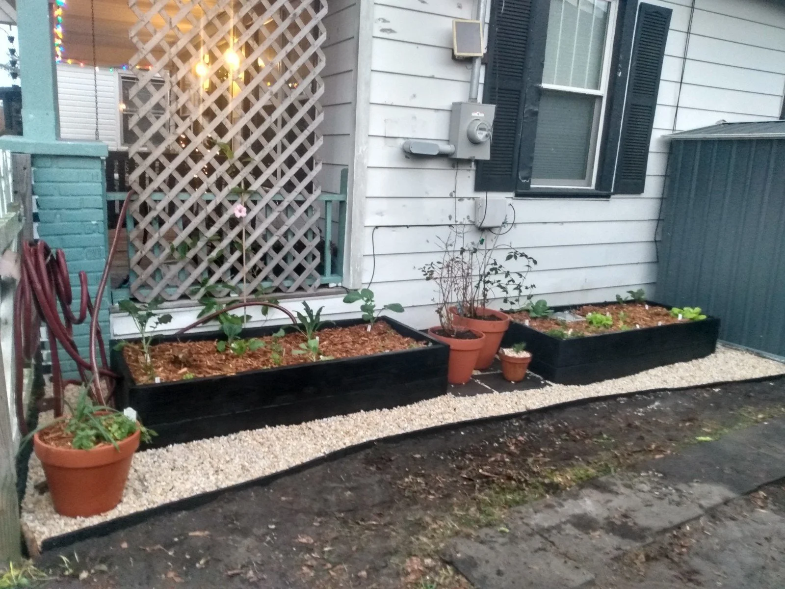 Sunny Side Yard Garden