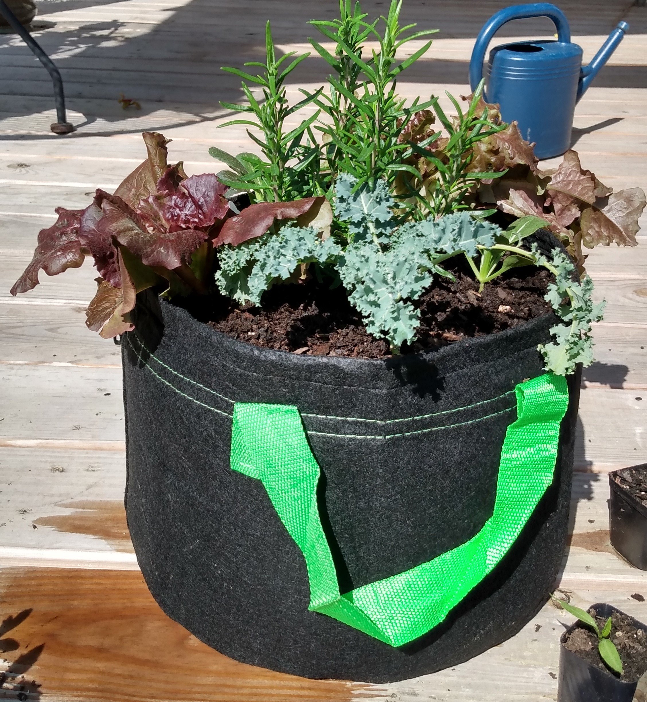 grow bag.jpg