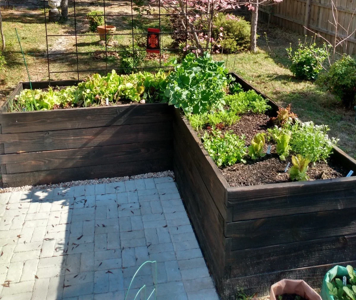 Corner Patio Garden
