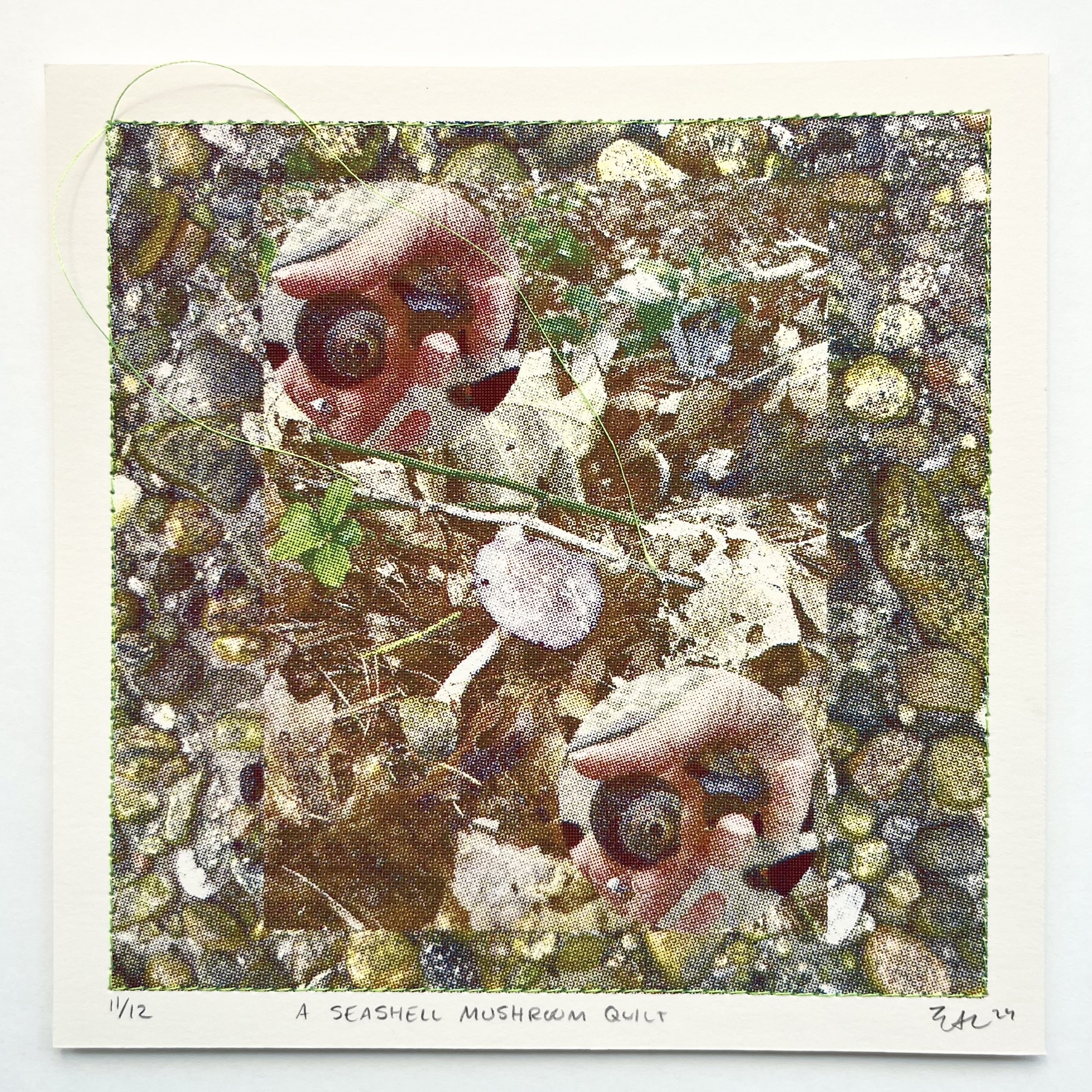 5_Clifford_a-seashell-mushroom-quilt.jpg