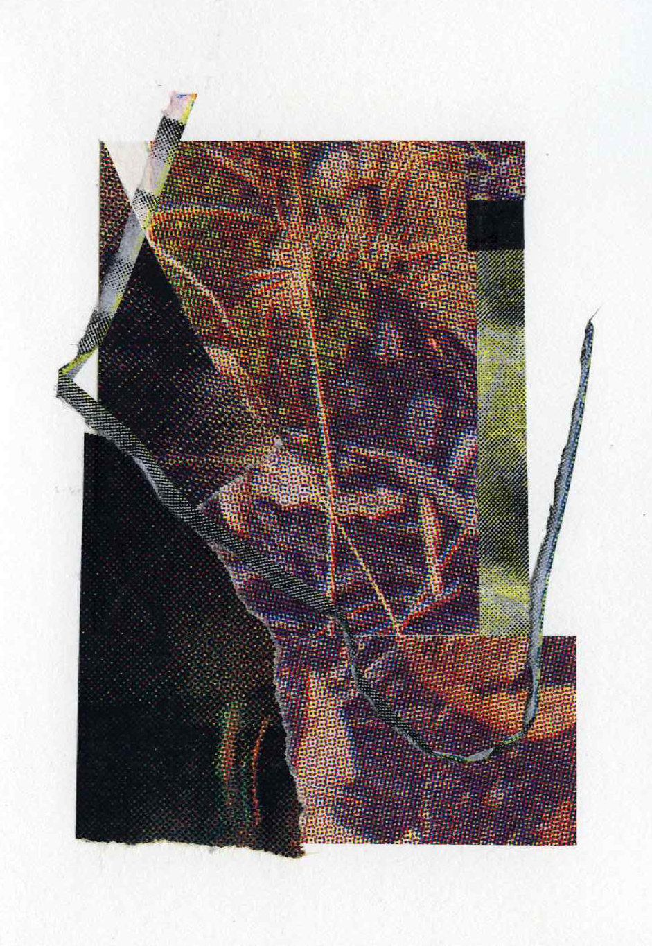 Assemblage #32, Screenprint on kozo, starch paste, 5x7 inches, 2026