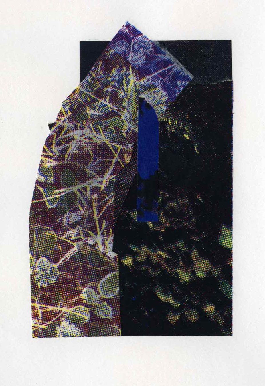 Assemblage #37, Screenprint on kozo, starch paste, 5x7 inches, 2026