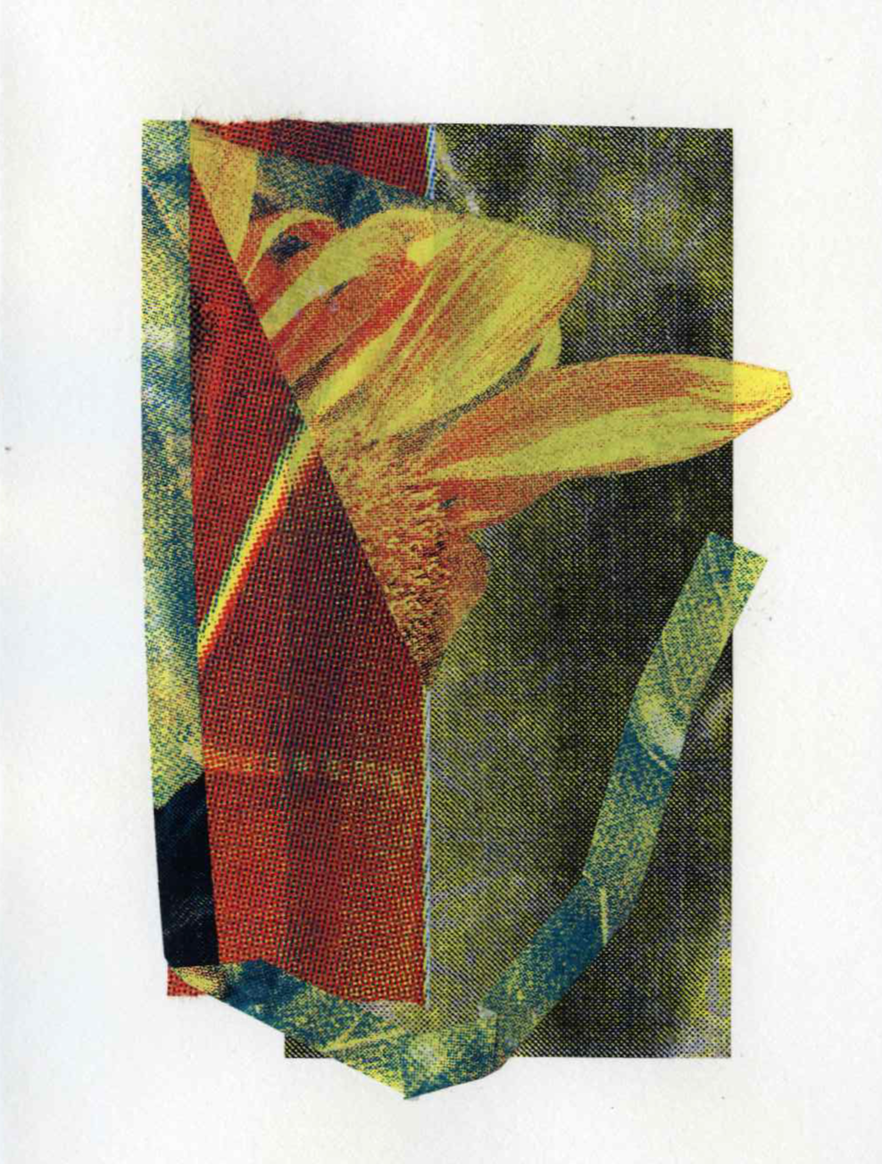 Assemblage #38, Screenprint on kozo, starch paste, 5x7 inches, 2026
