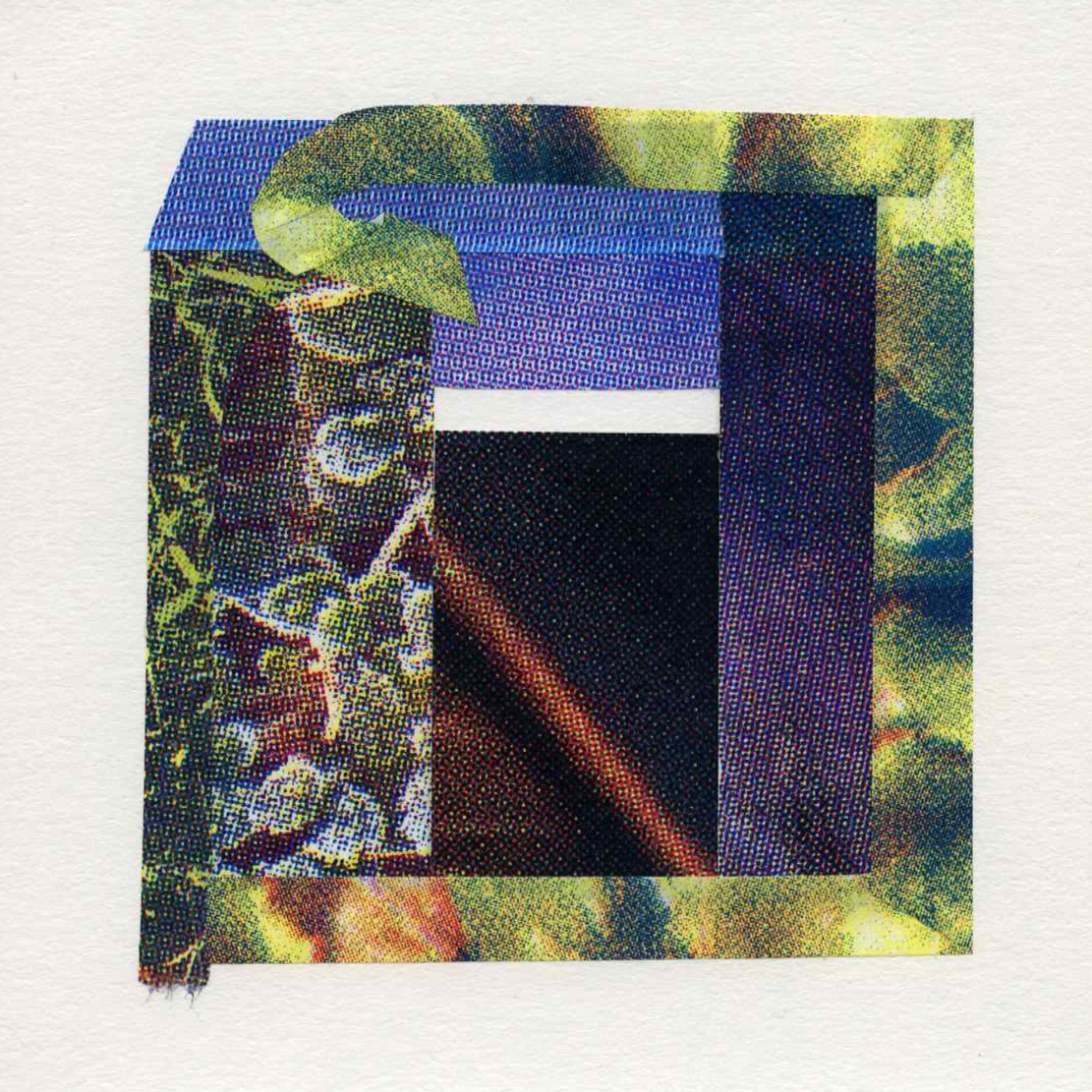 Assemblage #11