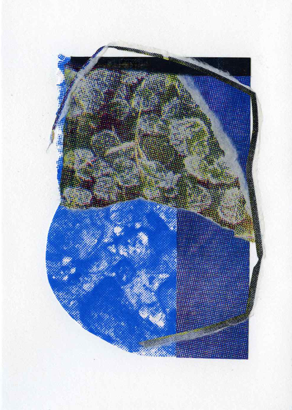 Assemblage #30, Screenprint on kozo, starch paste, 5x7 inches, 2026