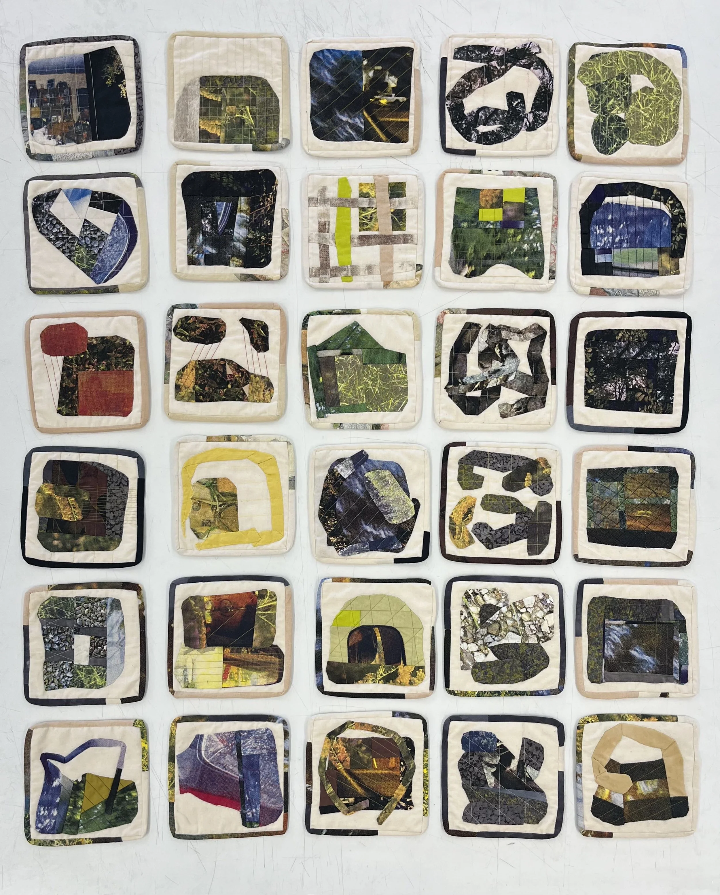 Quilts 1-30, January 2026