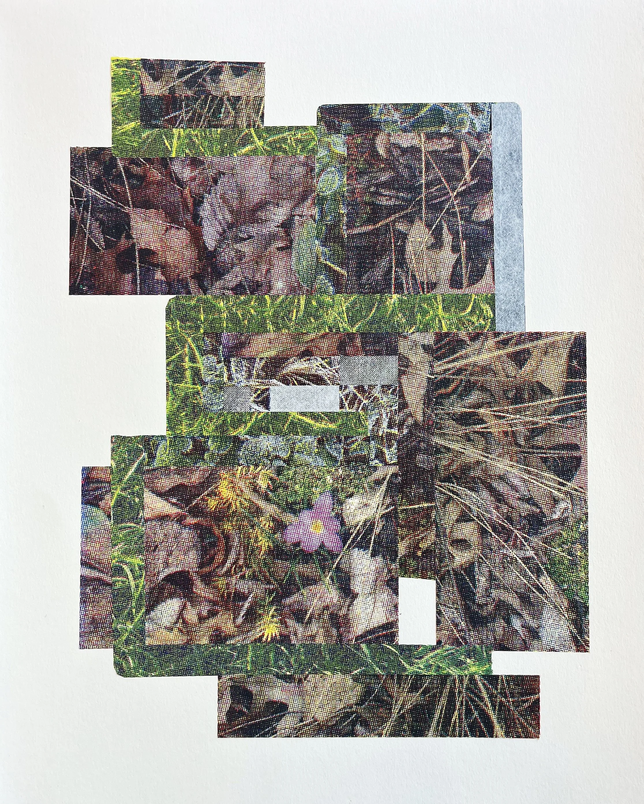 Purple Crocus, Screenprint on kozo,, starch paste, 11x14 inches, 2026