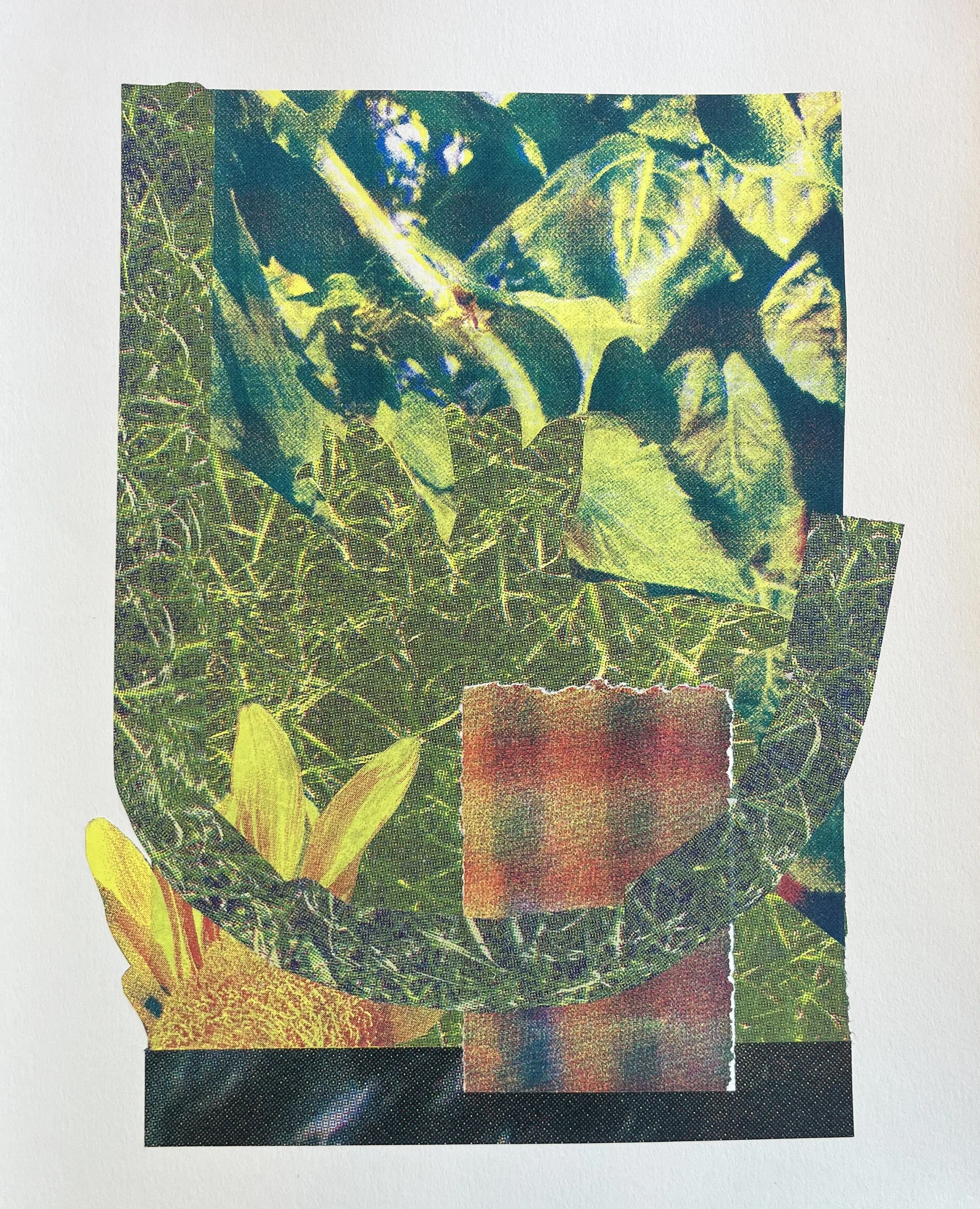 Sunbeam, Screenprint on kozo,, starch paste, 11x14 inches, 2026