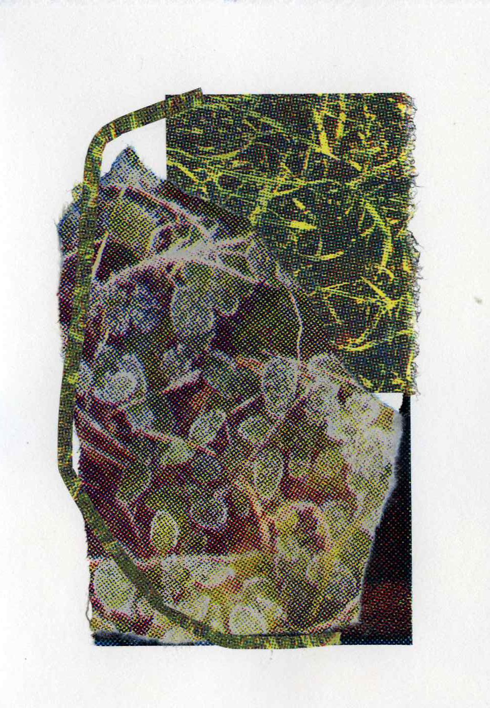 Assemblage #31, Screenprint on kozo, starch paste, 5x7 inches, 2026