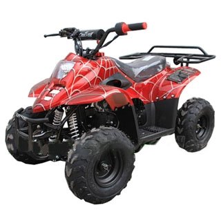 coolster mountopz 110