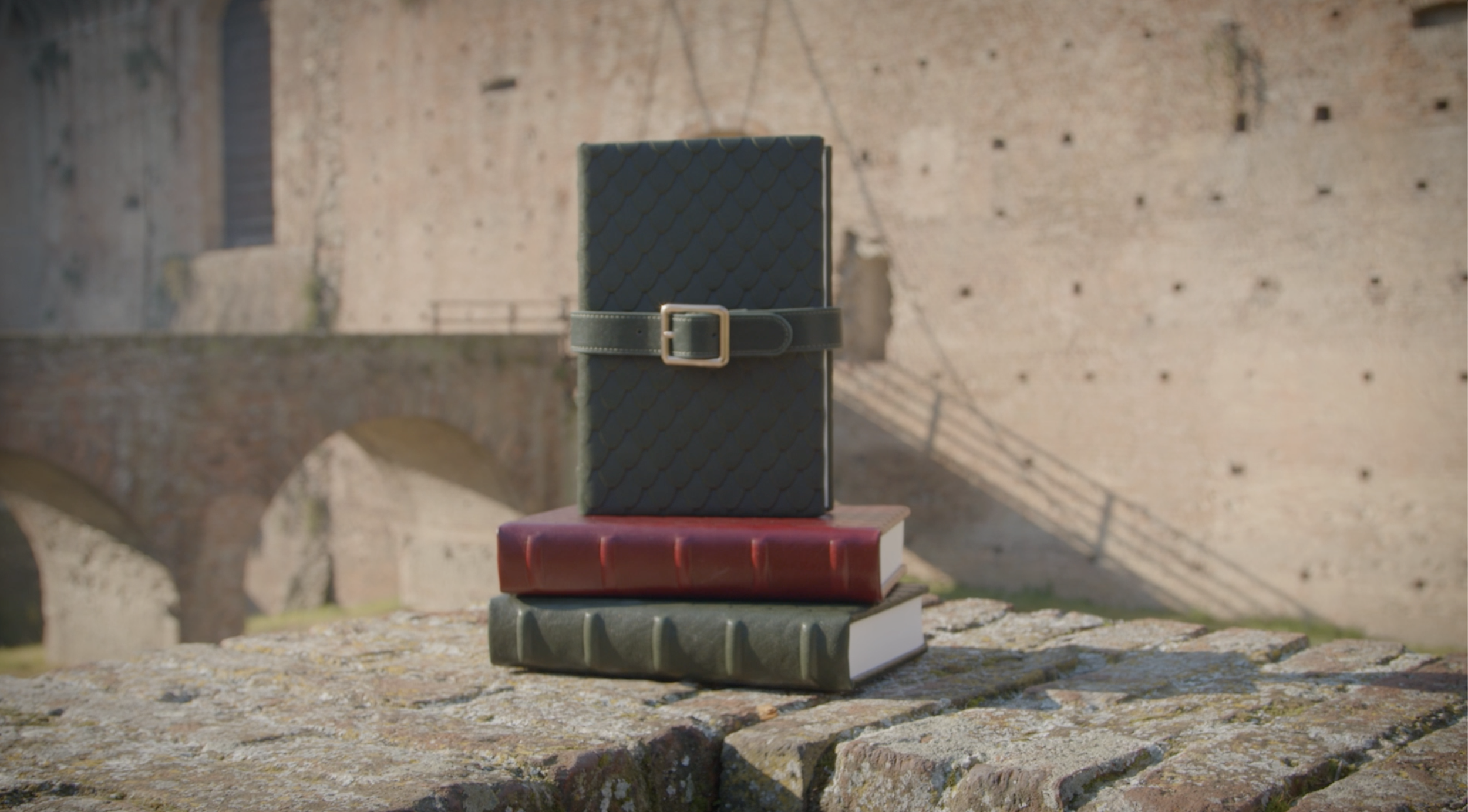 TPVE - Video Making The dragon journal.png