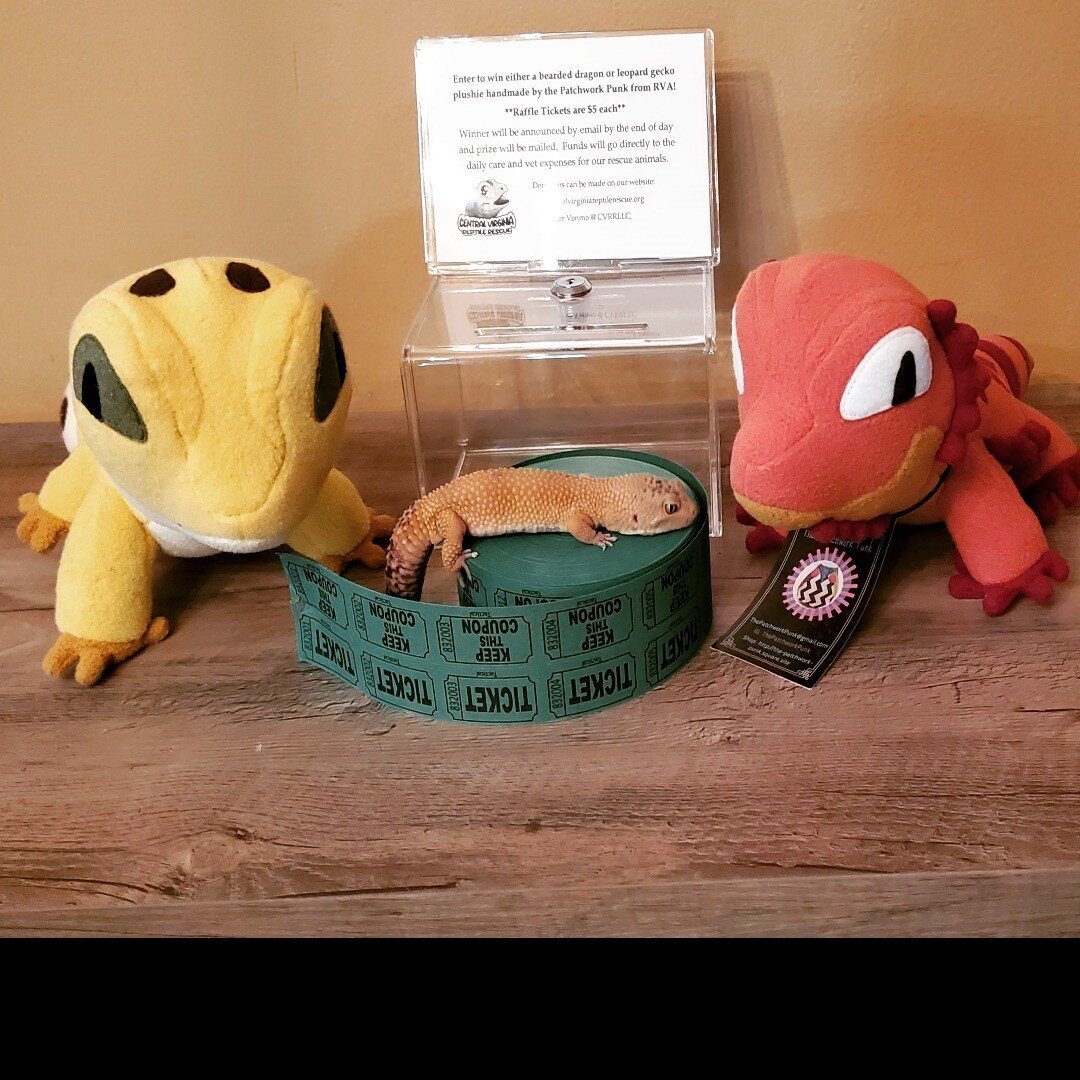 We will be at the VA Comicon at the Richmond Raceway on Laburnum Ave tomorrow from 11am-2pm, set up at the booth with KO Collectibles.

We will be raffling off two plushies
by @thepatchworkpunk. This raffle is a fundraising event to help with daily c