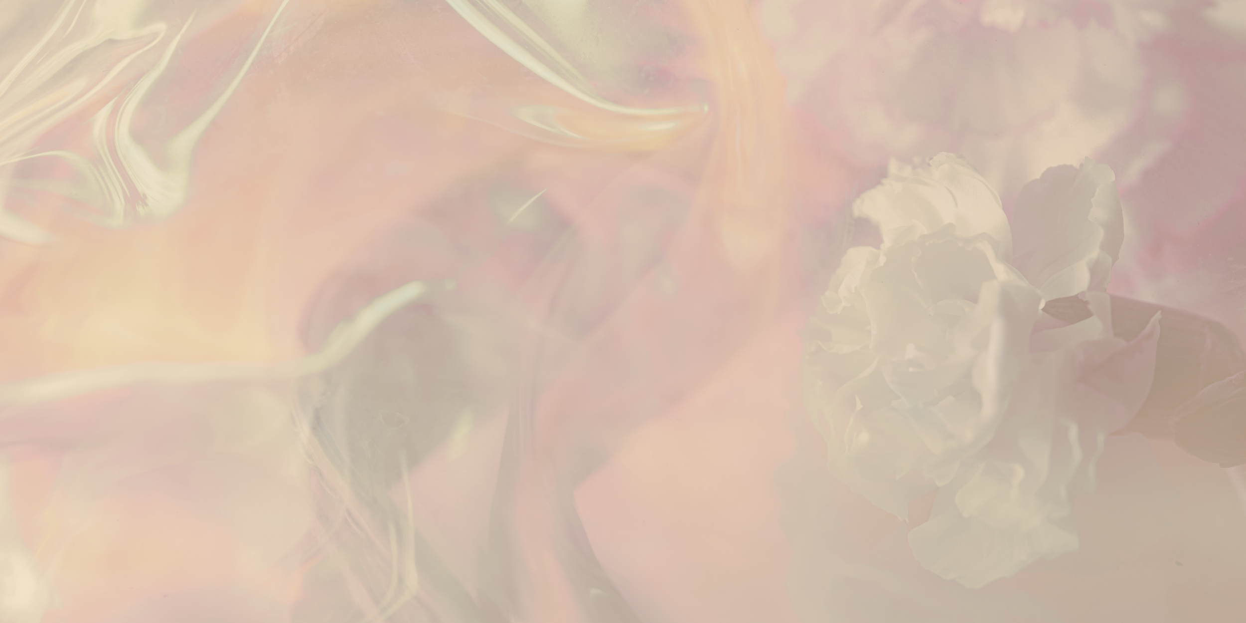 Love Portal New Moon Solar Eclipse Reiki + Cacao Circle