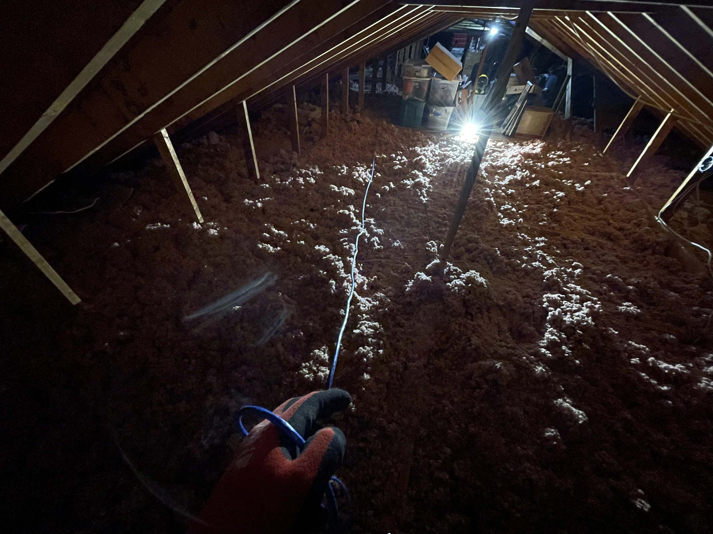 2023-09-14 15.42.02.jpg