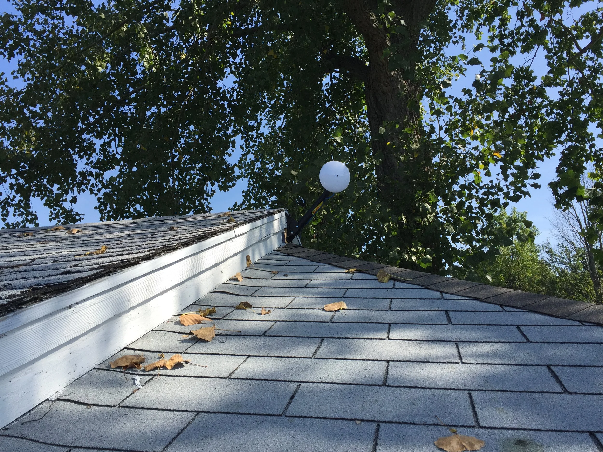 2015-09-24 12.42.06.jpg