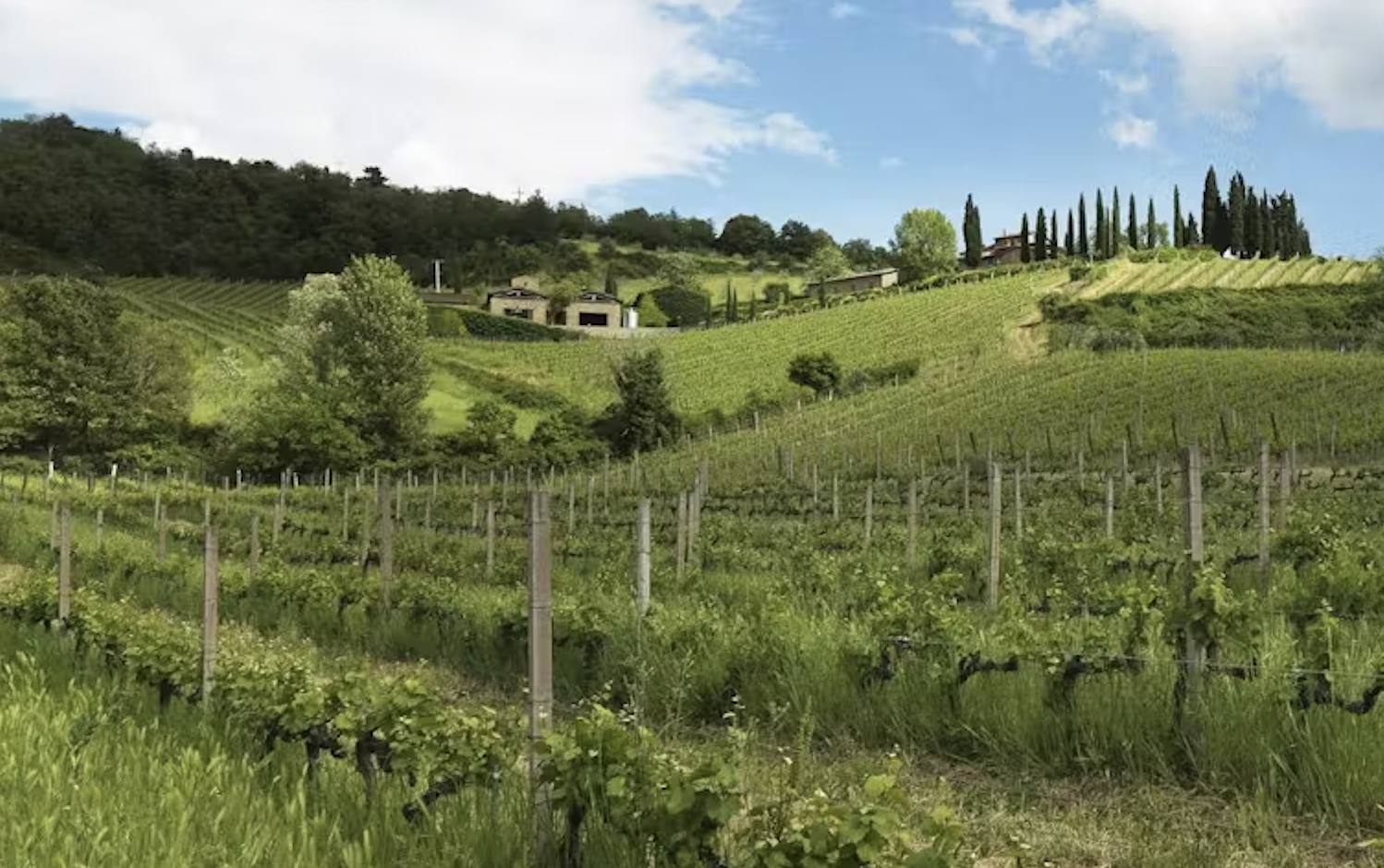 RGE RD Wine Dinner with Agricola Querciabella