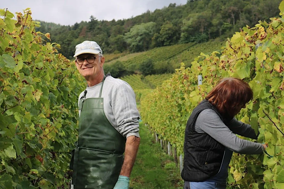 An Afternoon in Alsace with Garneau Block