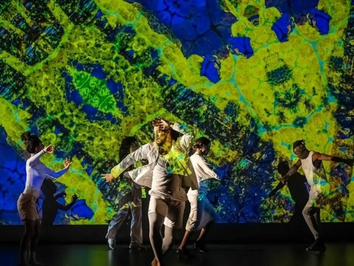 MOSAÏCO Dance Performance