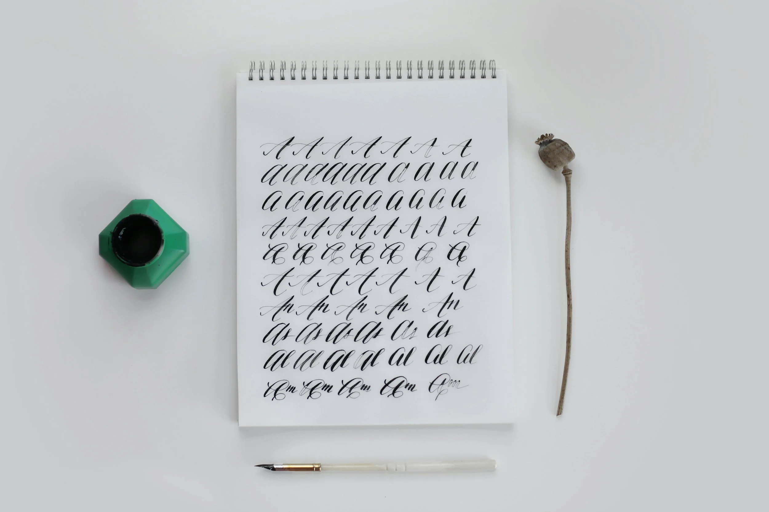 Take a Beginner Calligraphy Workshop