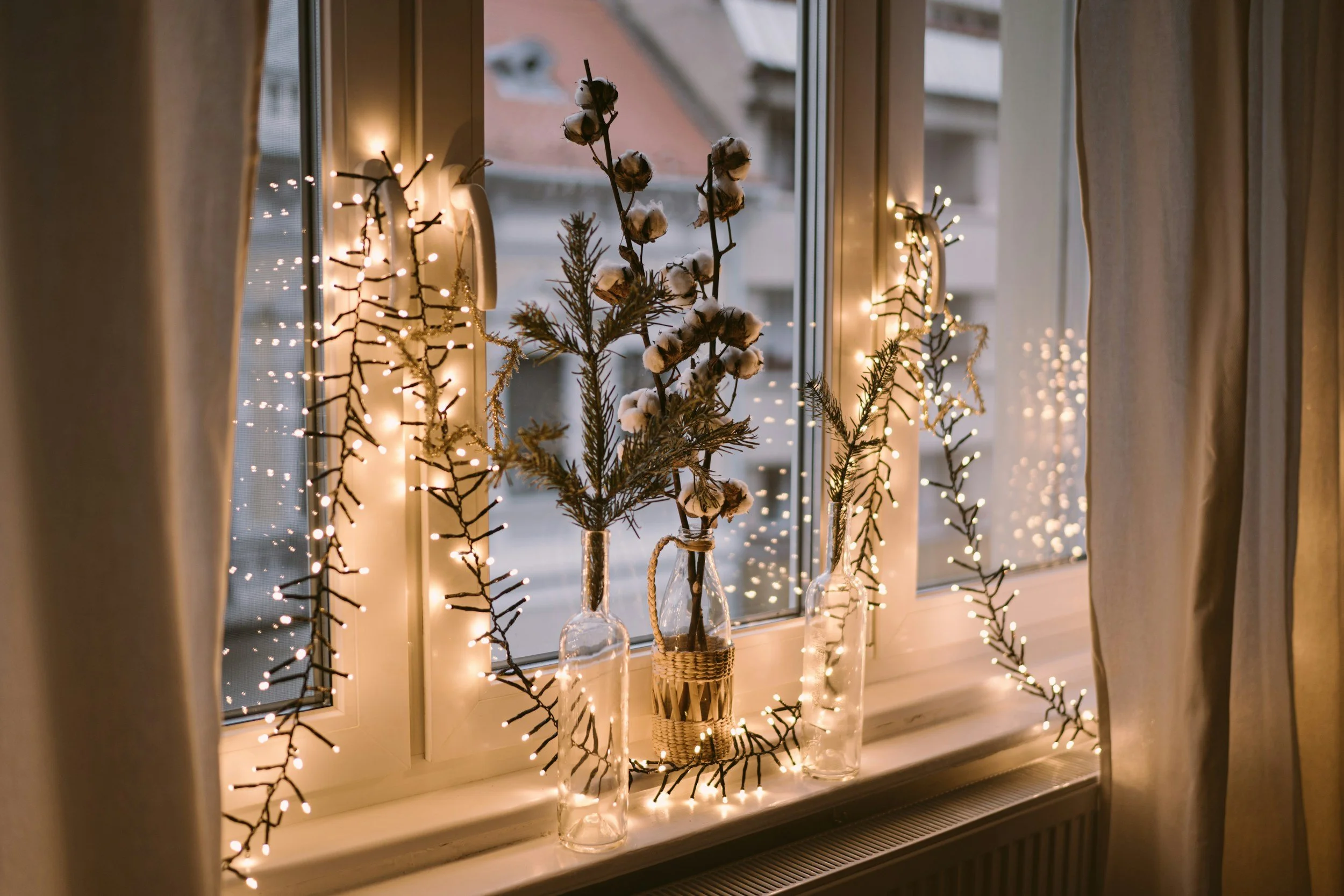 Candy Cane Lane 