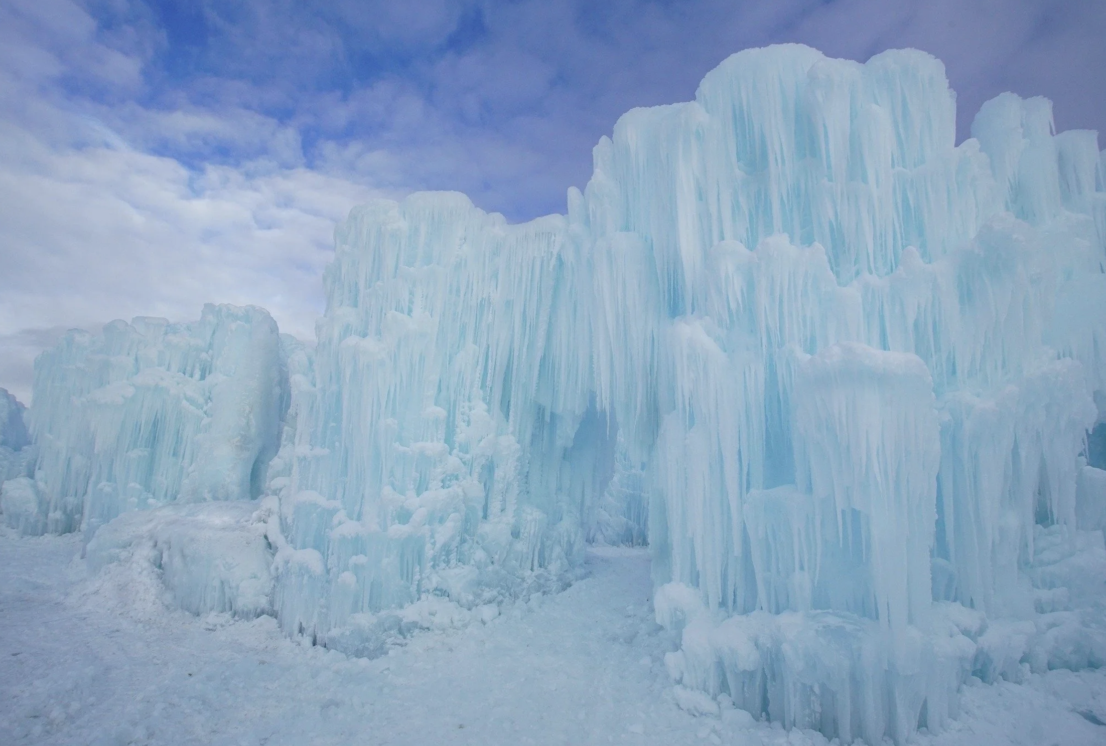 20 Things to do in Edmonton this Weekend - January 2-4, 2026 