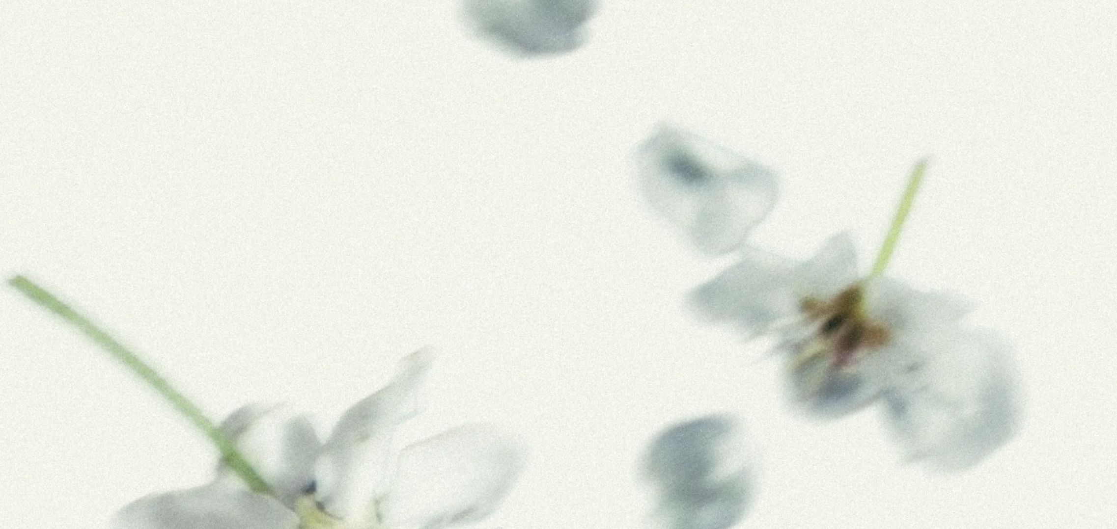 Live Concert: A Fool for Love 