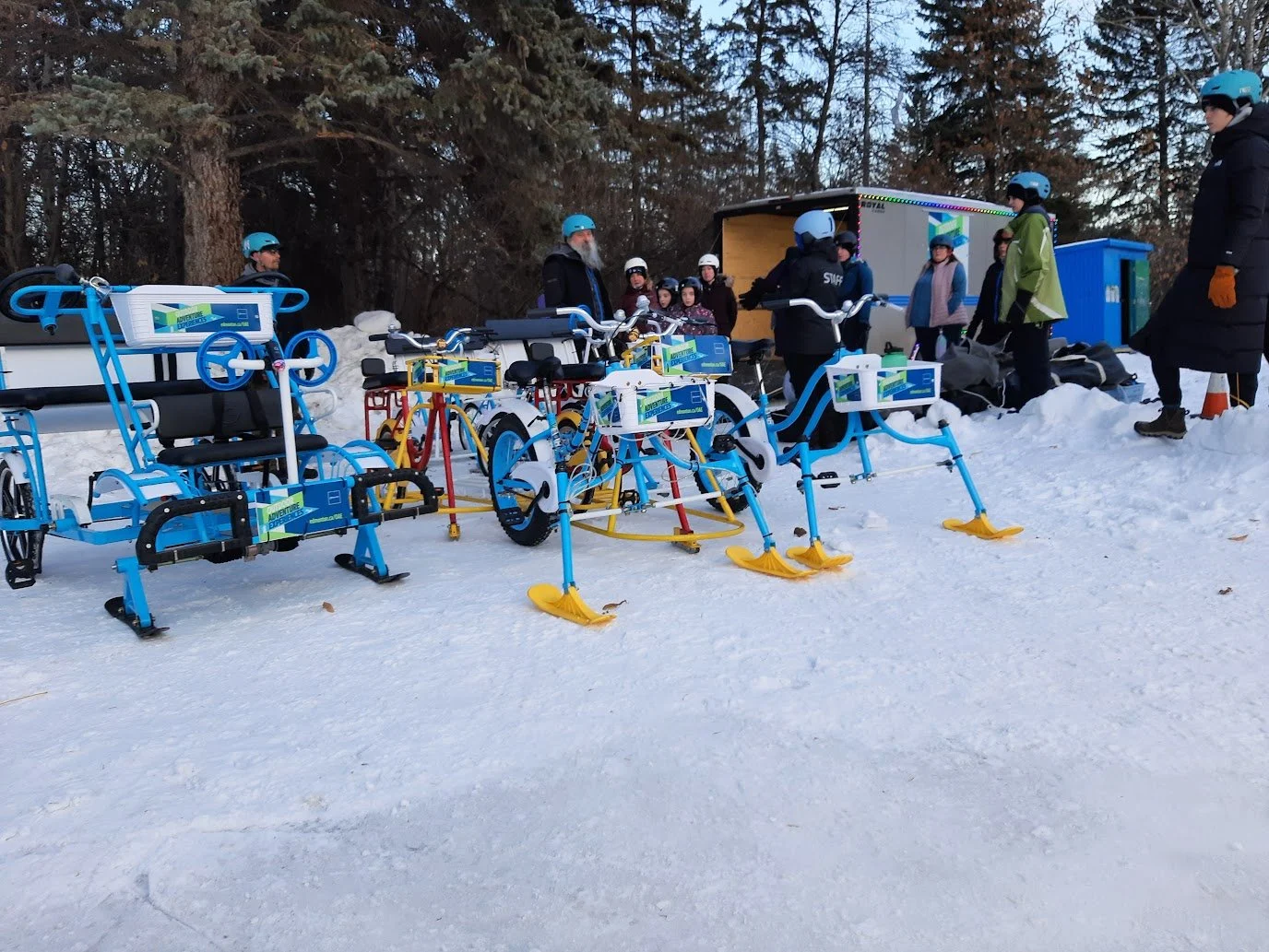 20 Things to do in Edmonton this Weekend - February 13-15, 2026