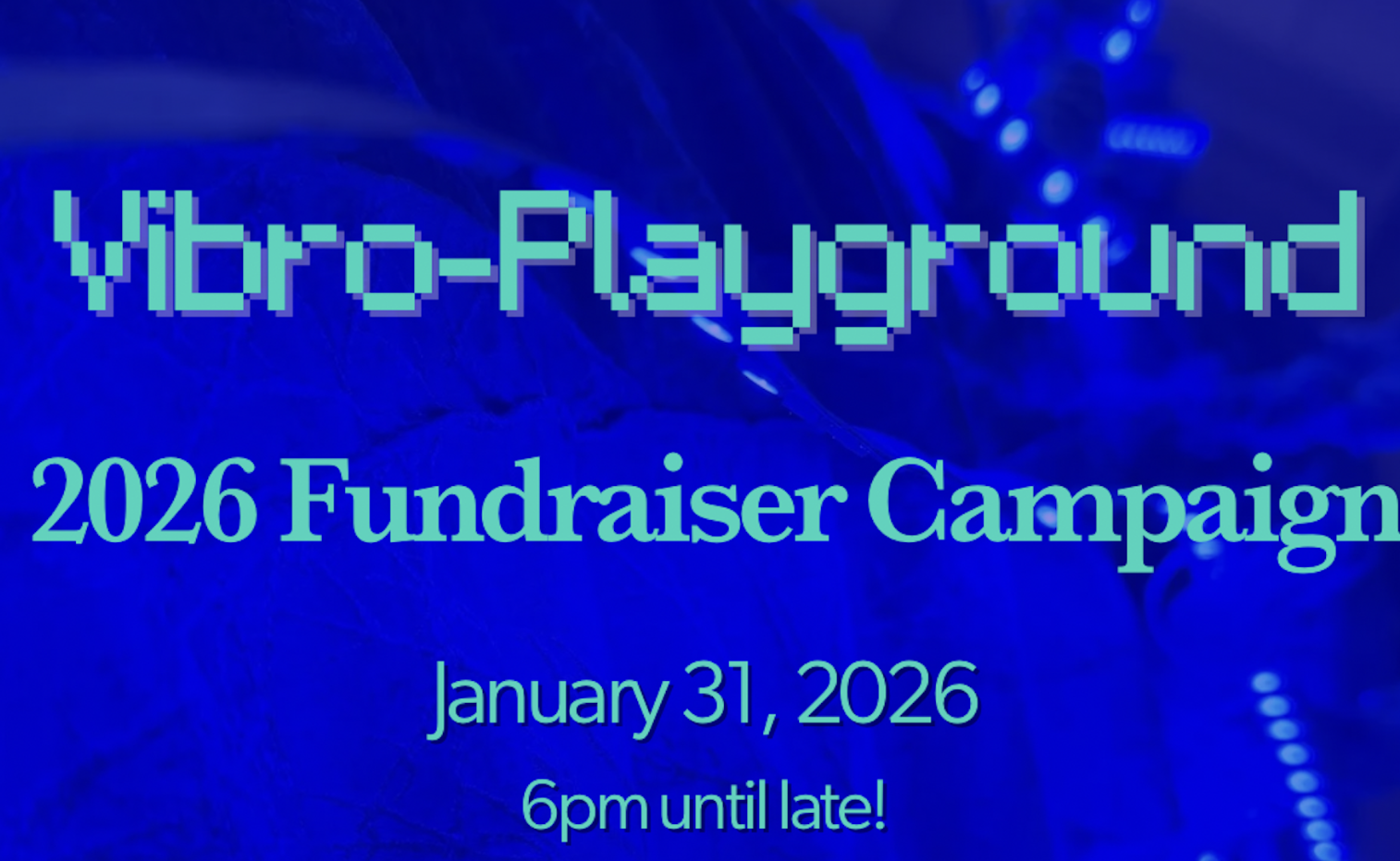 VIBRO-PLAYGROUND | 2026 Fundraiser Party!
