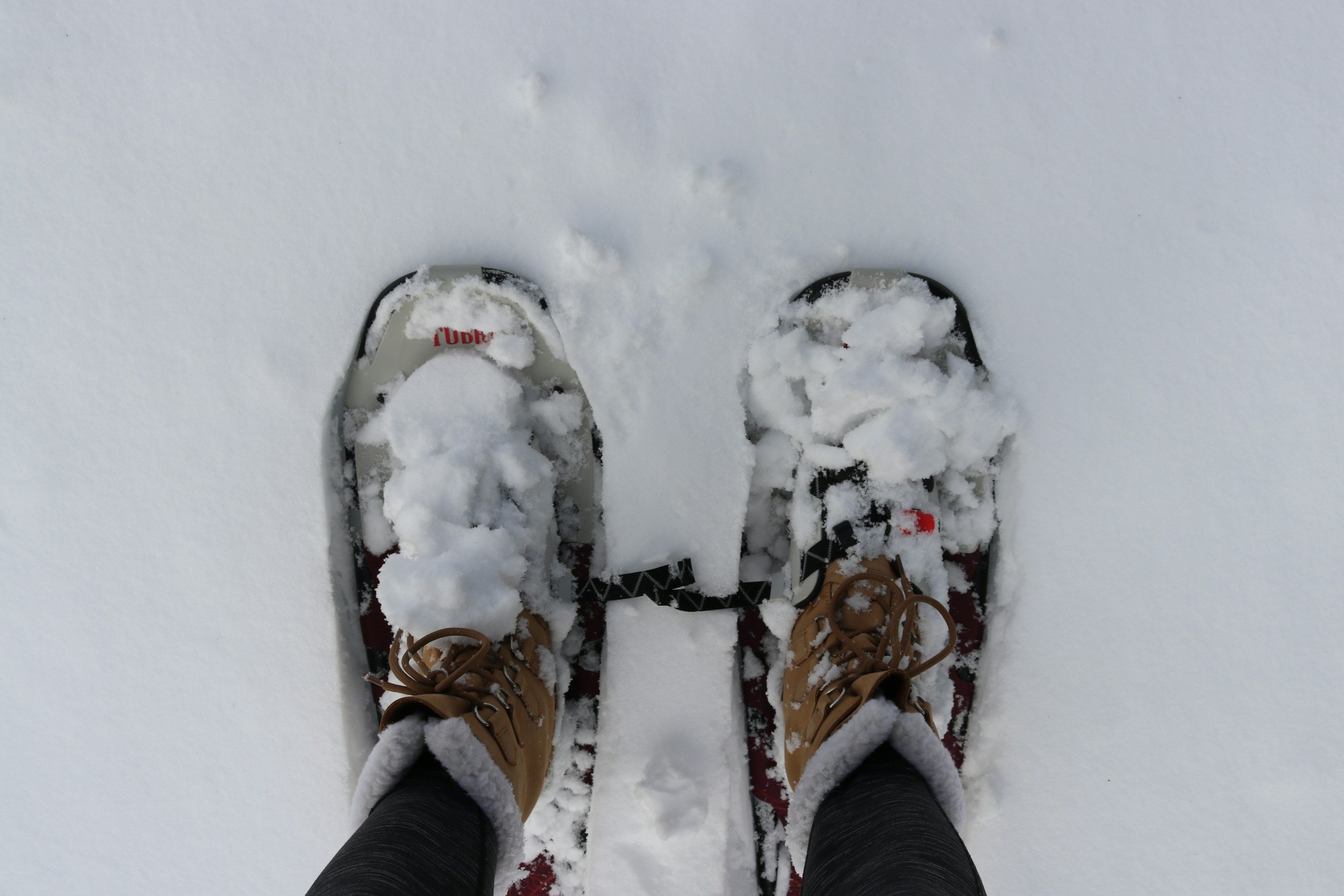 $5 Snowshoe &amp; Hot Chocolate Tours 