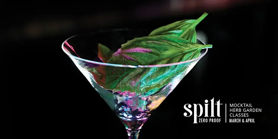 Spilt Spring Series - Fresh Herbs