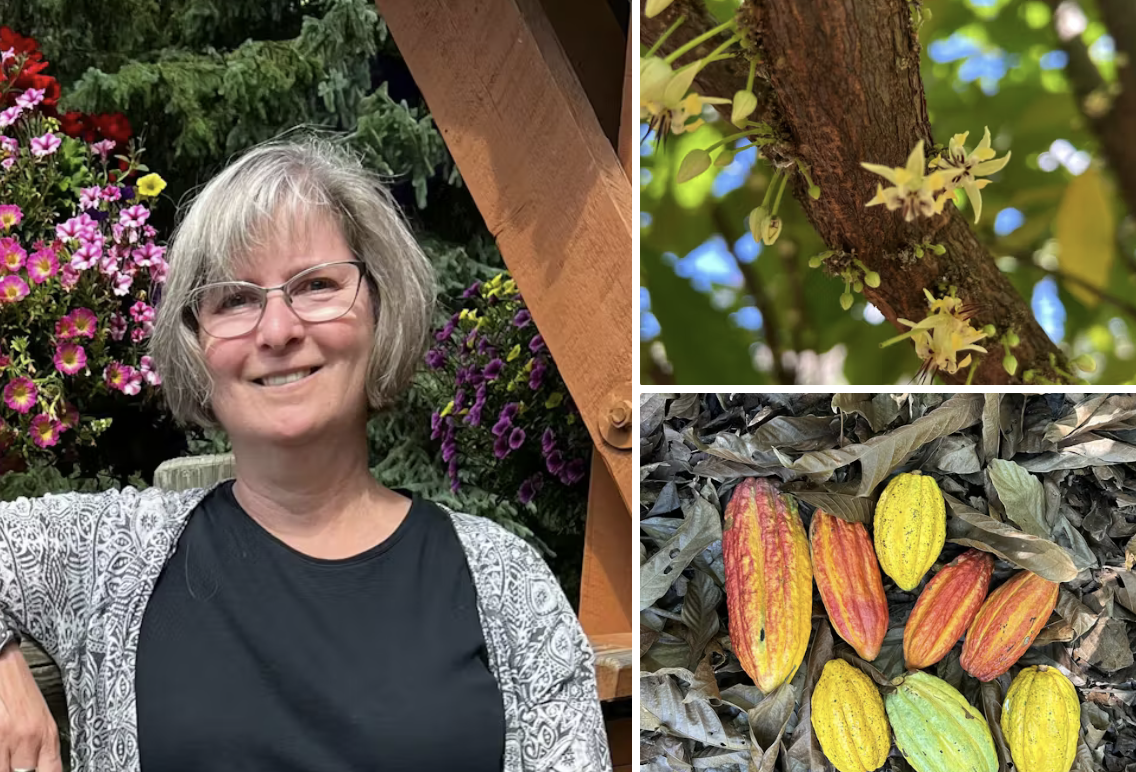 ChocoTALKS: The botany of Bean-to-bar with Janice Cooke