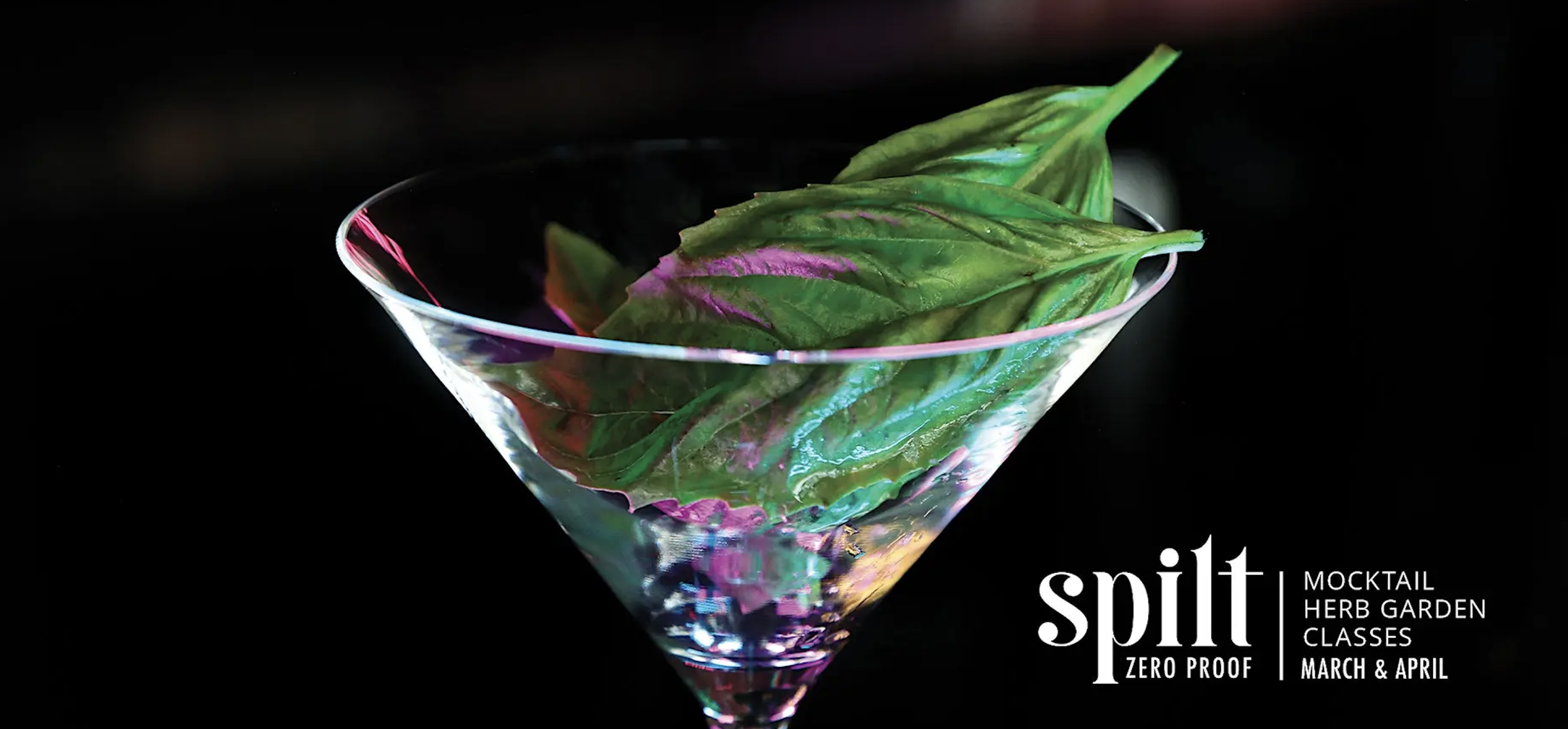 Spilt Spring Series - Fresh Herbs