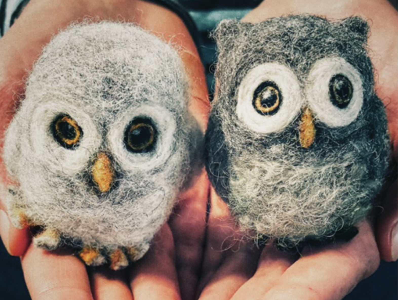 Felted Wool Art Experience: Owl 