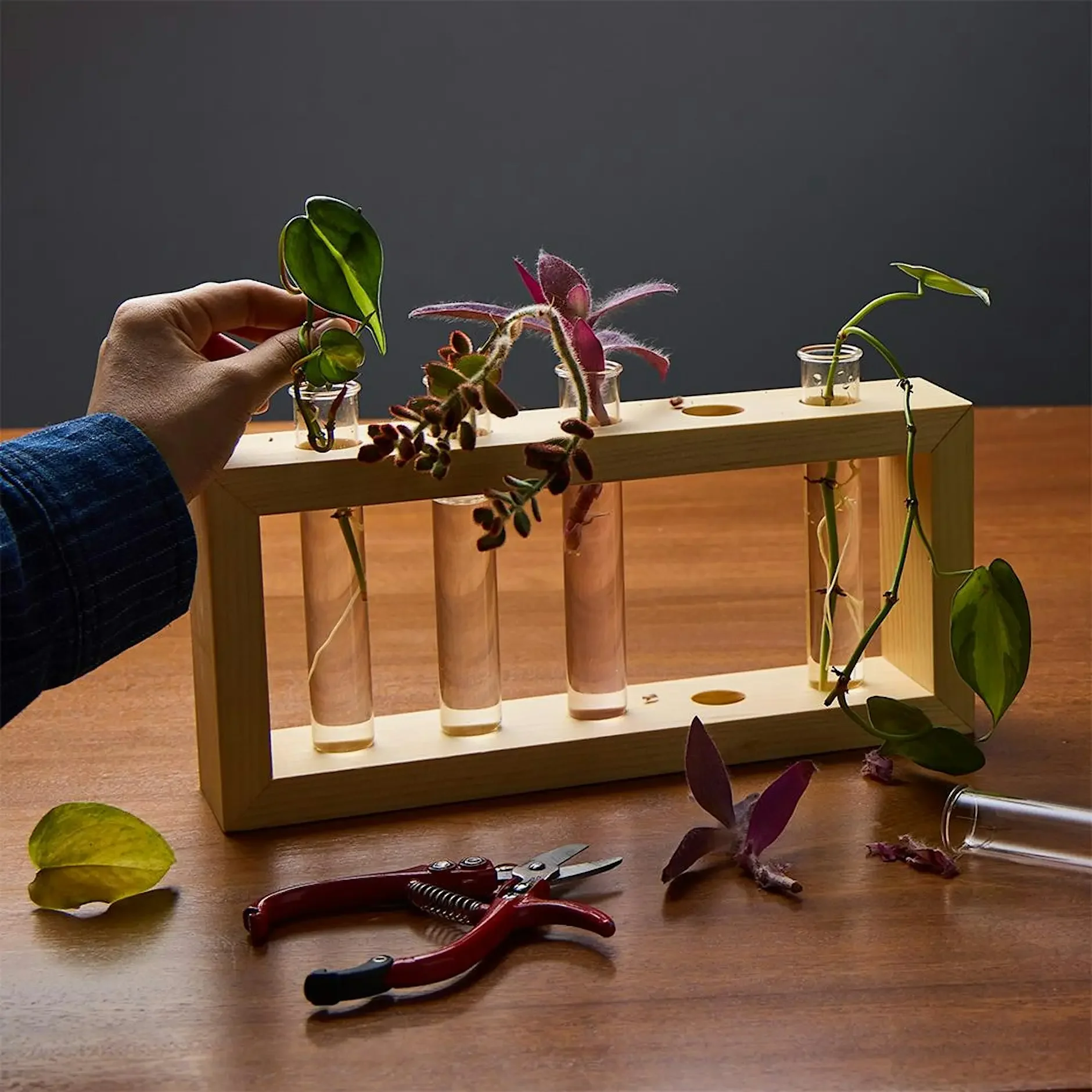Workshop: Make a Plant Propagation Station
