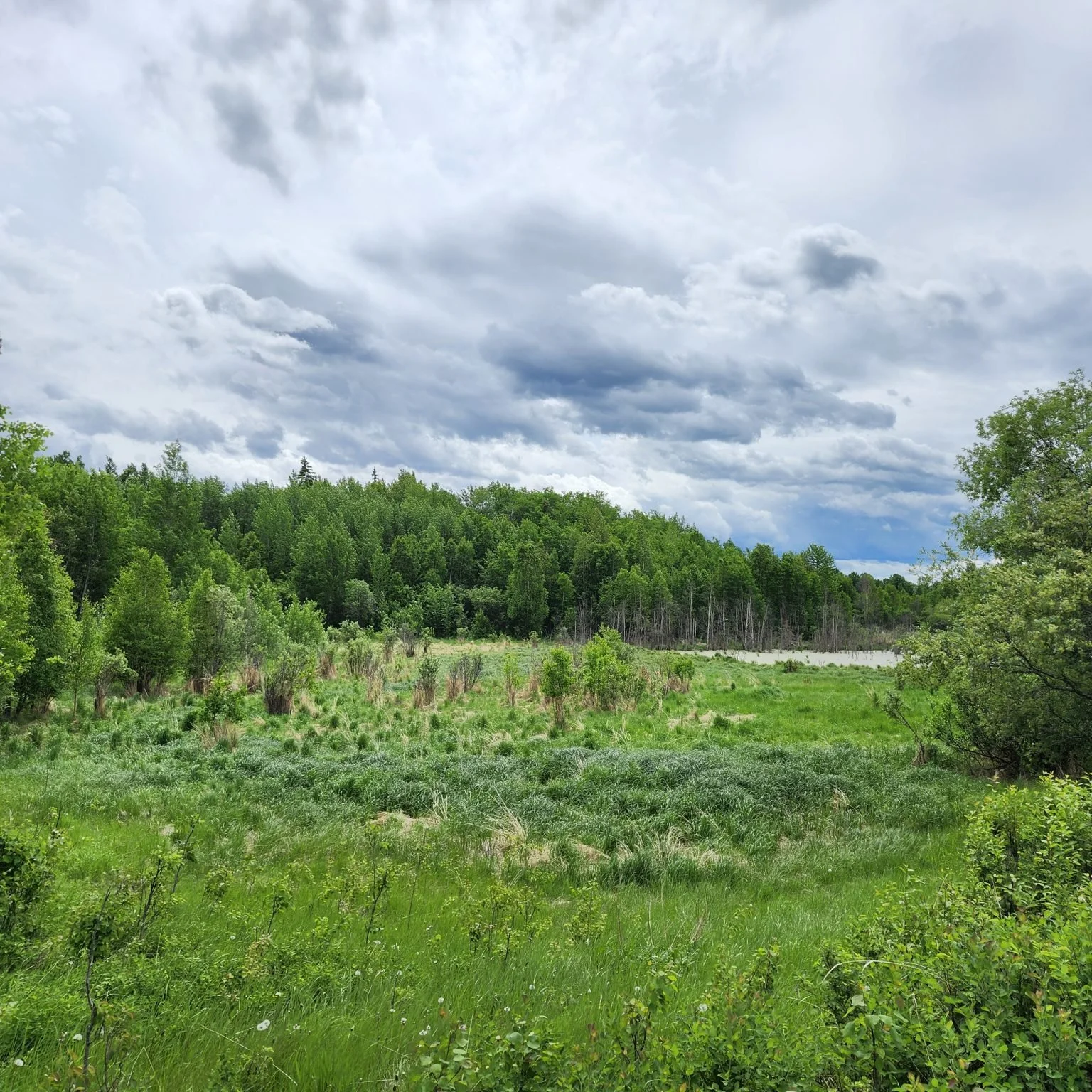Adventure for Wilderness – Beavers and the Boreal with EALT