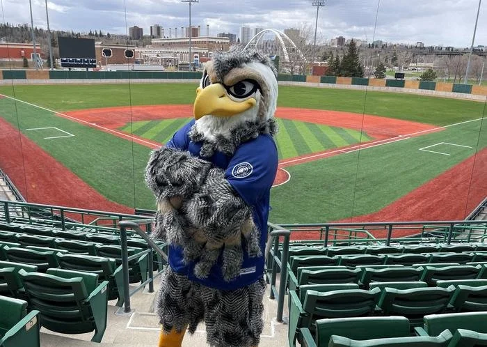 Edmonton Riverhawks Movie Night on the Field