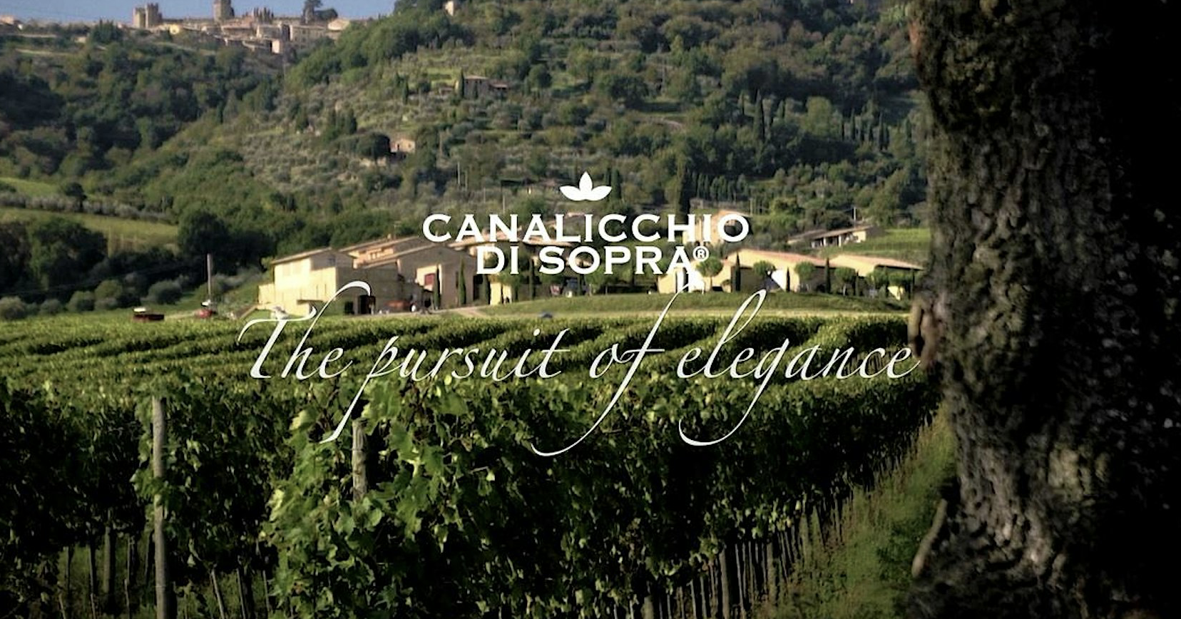 Canalicchio di Sopra Brunello di Montalcino Tasting