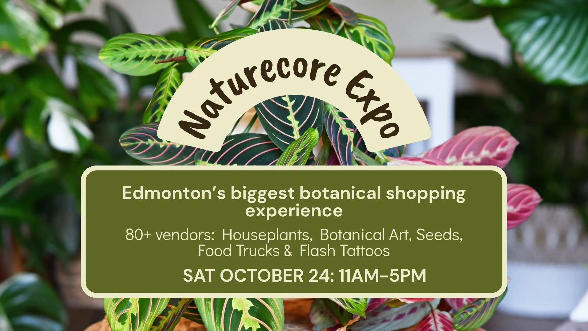 Fall 2026 Naturecore Expo 