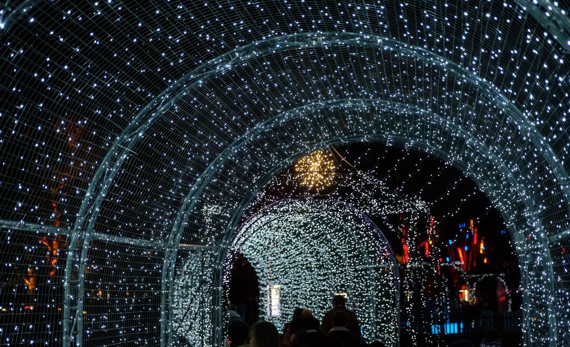 Things to do in Edmonton in November - Edmonton.events