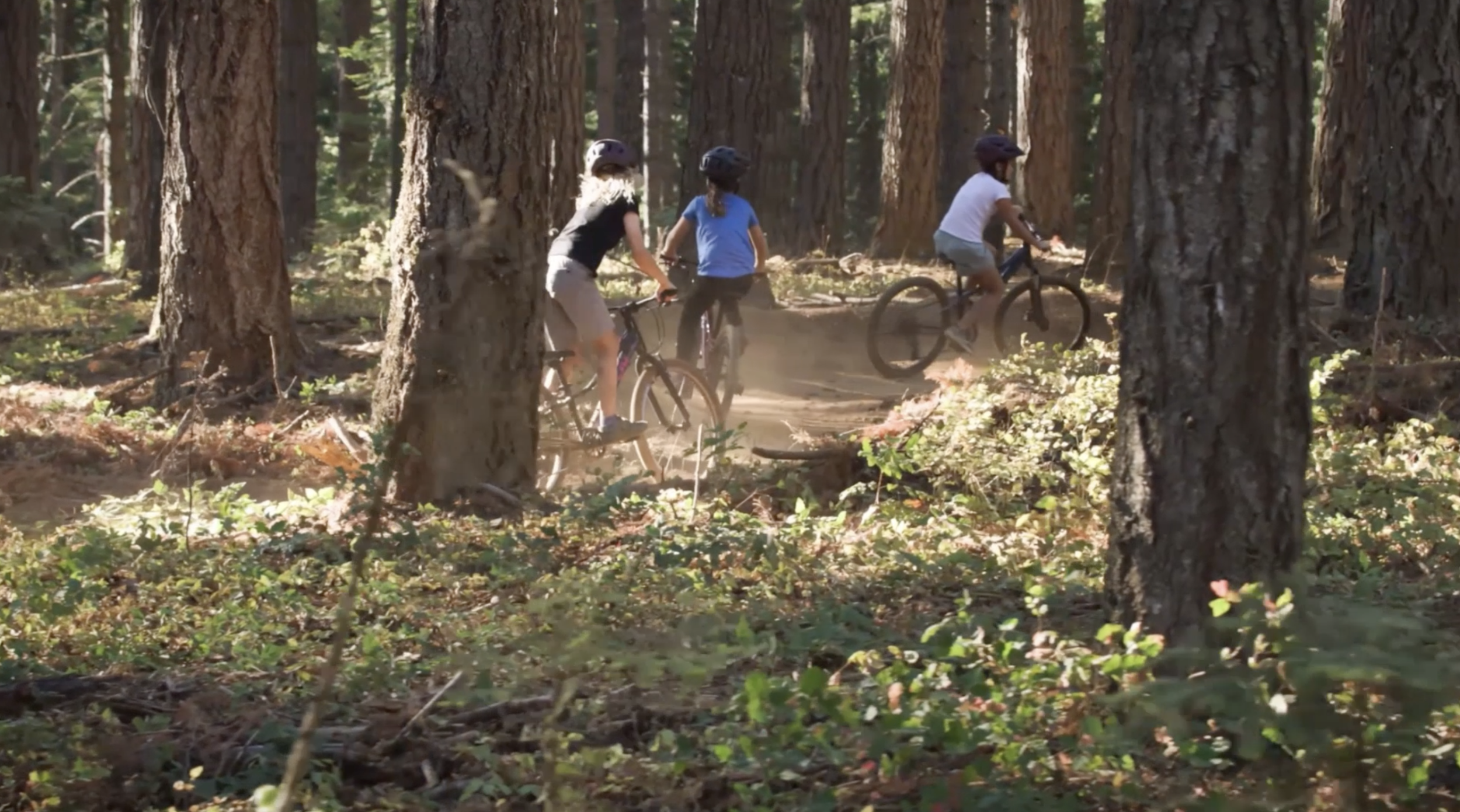 Screenshot 2025-11-07 at 8.02.26 AM.png