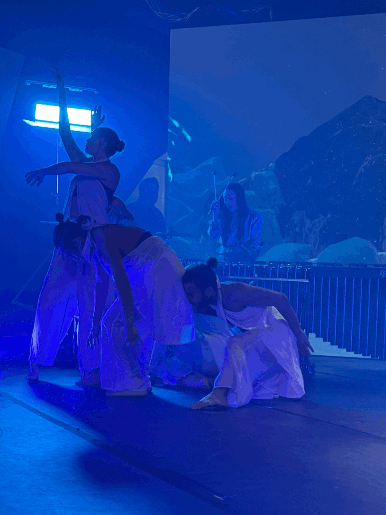 Virtual Salon Performance Series for Social Change (VSPS)