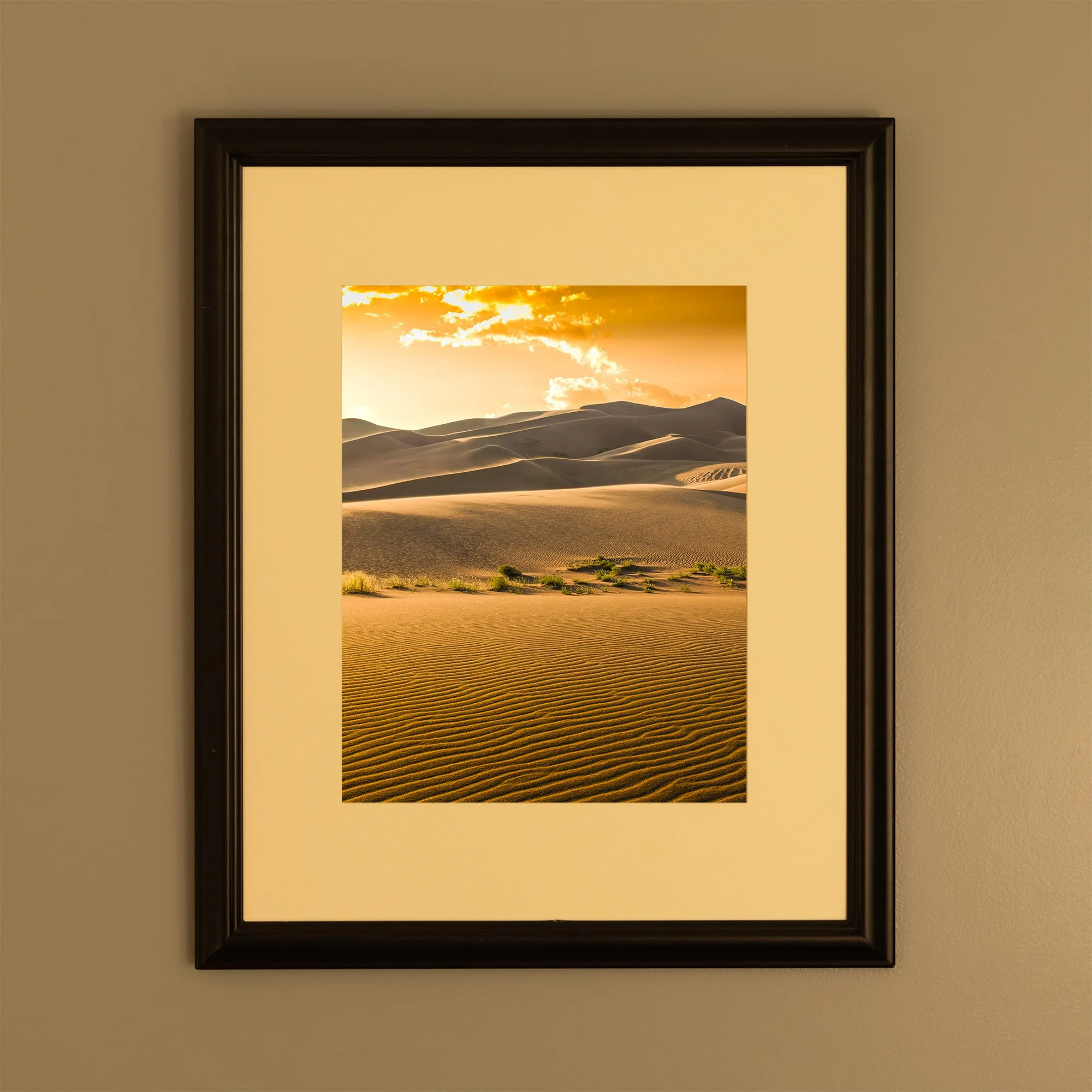 Dunes with Vegetation