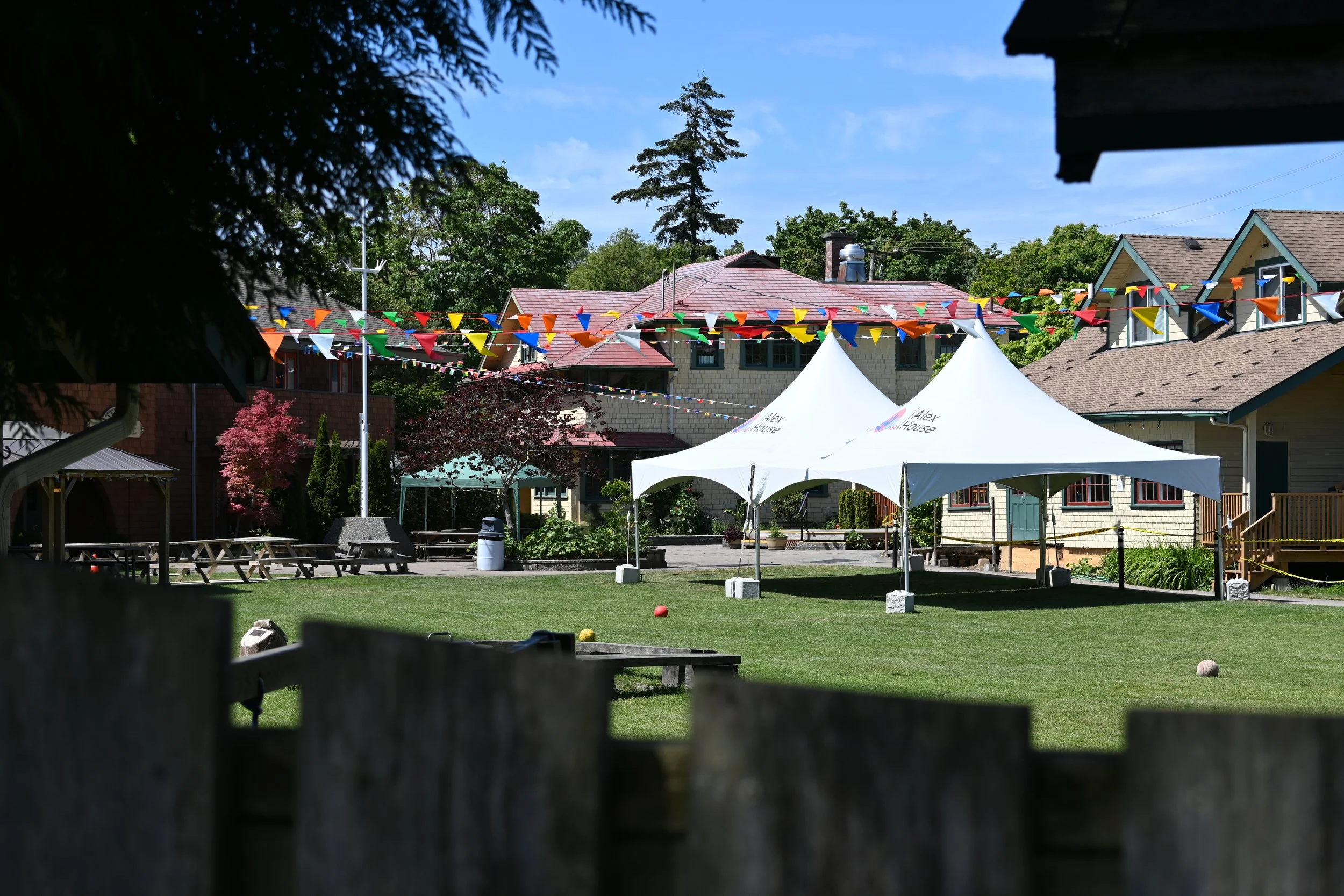 Camp Alex field in summer