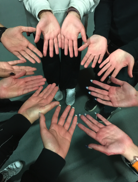 Annual Membership Fee