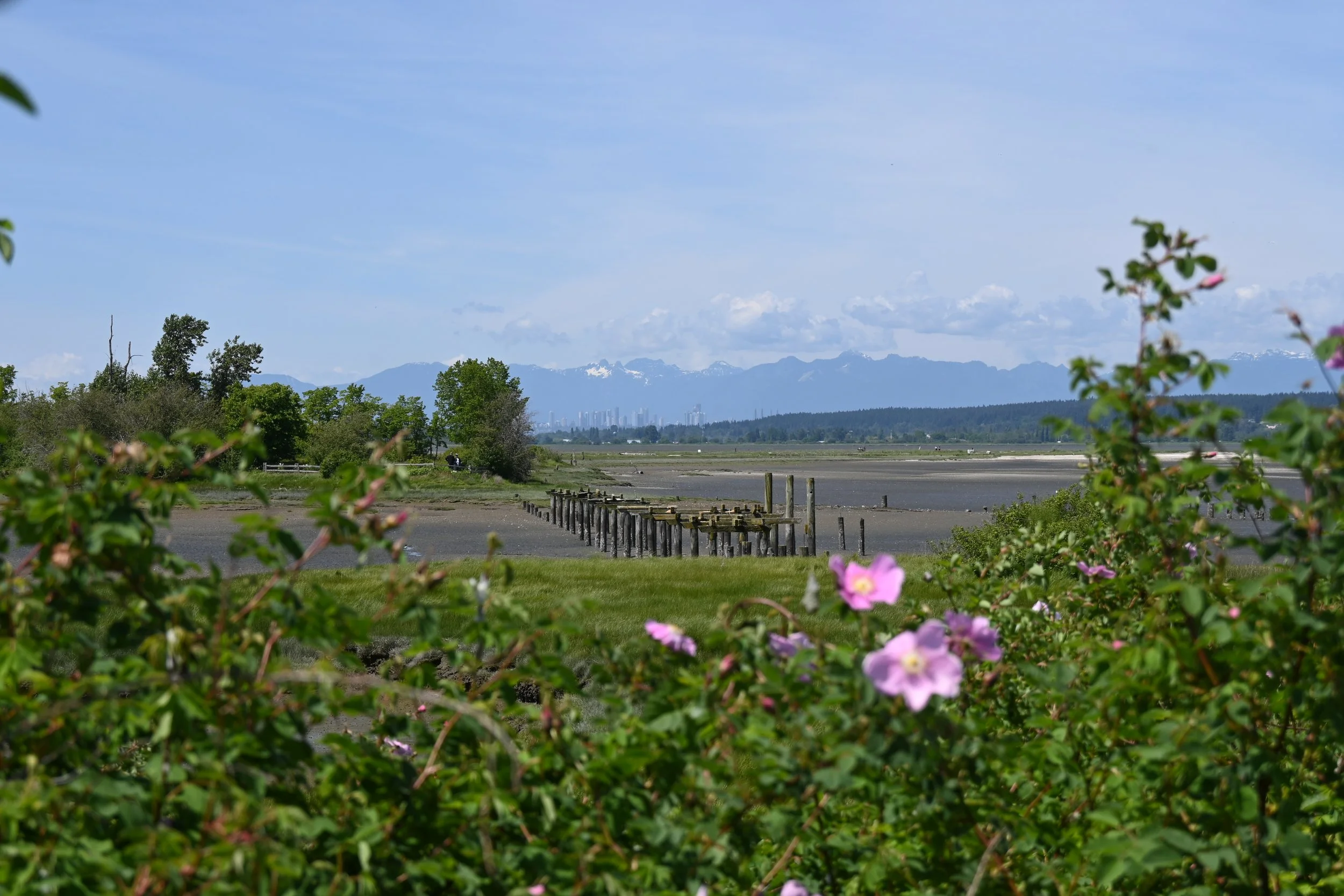 Blackie Spit Park in Crescent beach